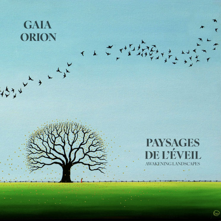 Art Book cover  Gaia Orion Awakening Landscapes