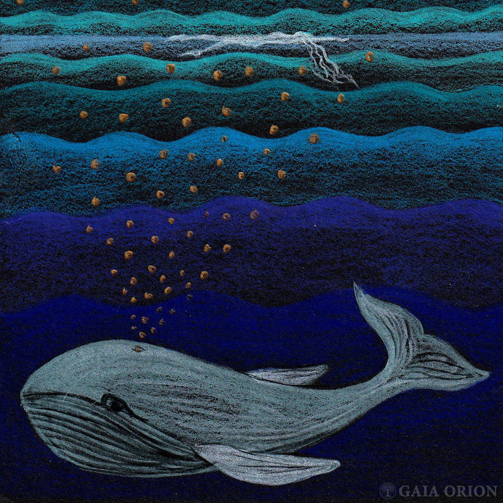 Whale Song and Bliss - pencil crayons drawing of a whale swimming under waves on black paper.