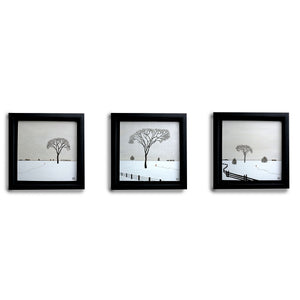 Favourite Tree Series