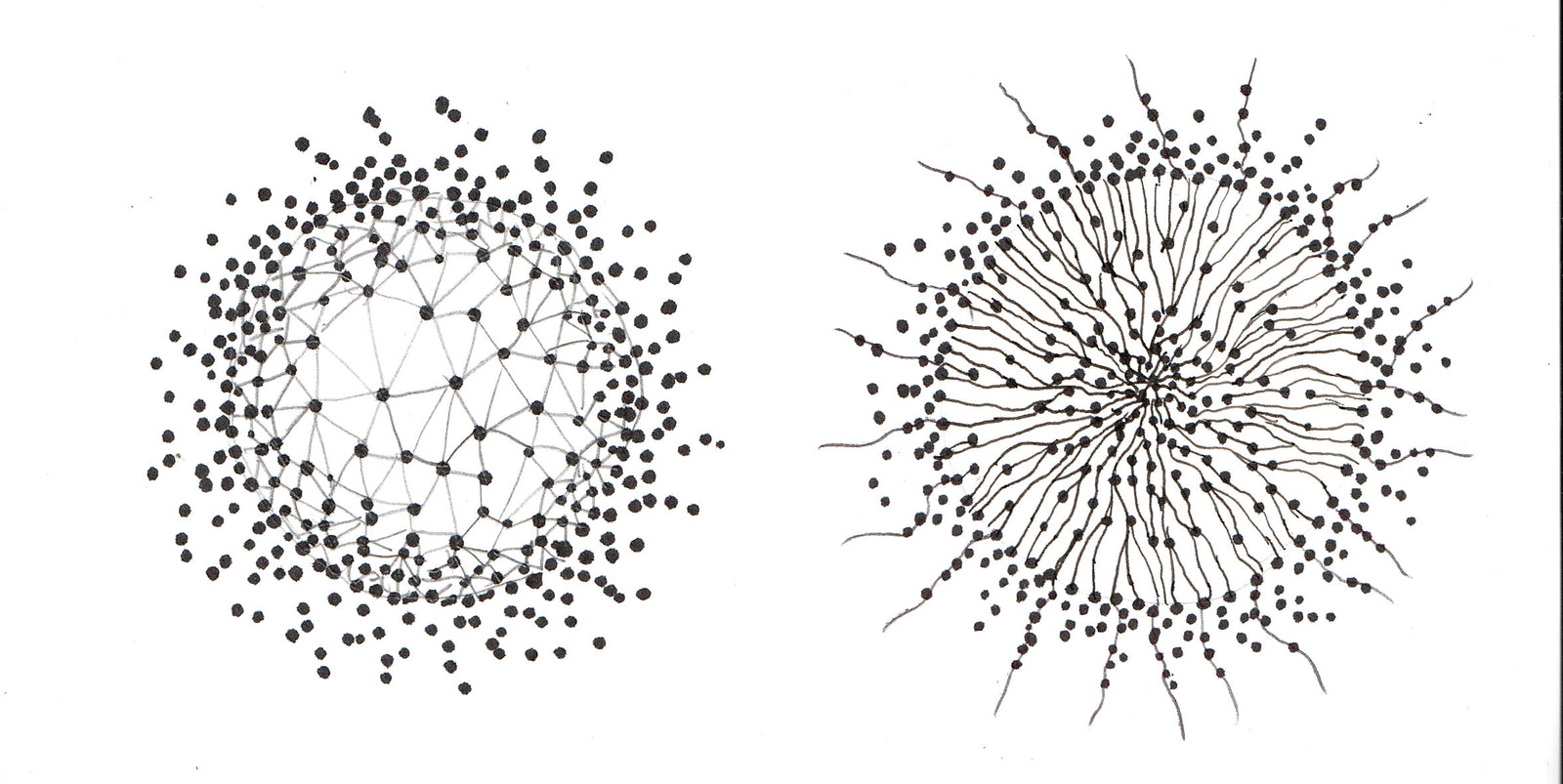 The Noosphere 2 ink on paper shows an organic network of roots and dots representing Earth's noosphere.