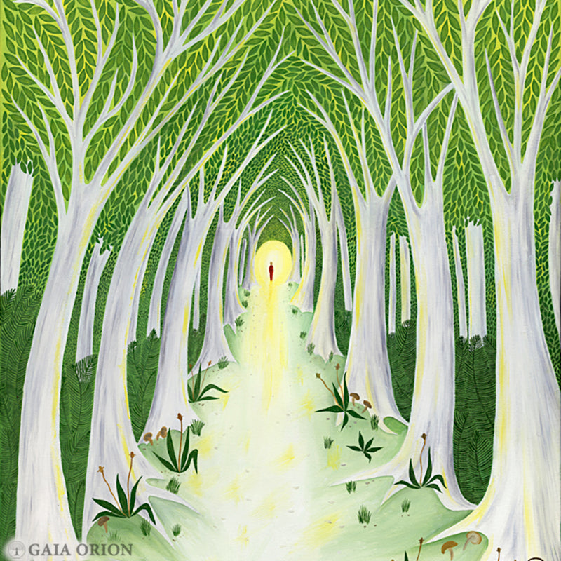 A Meaningful Life - Prints on Paper - Gaia Orion Art