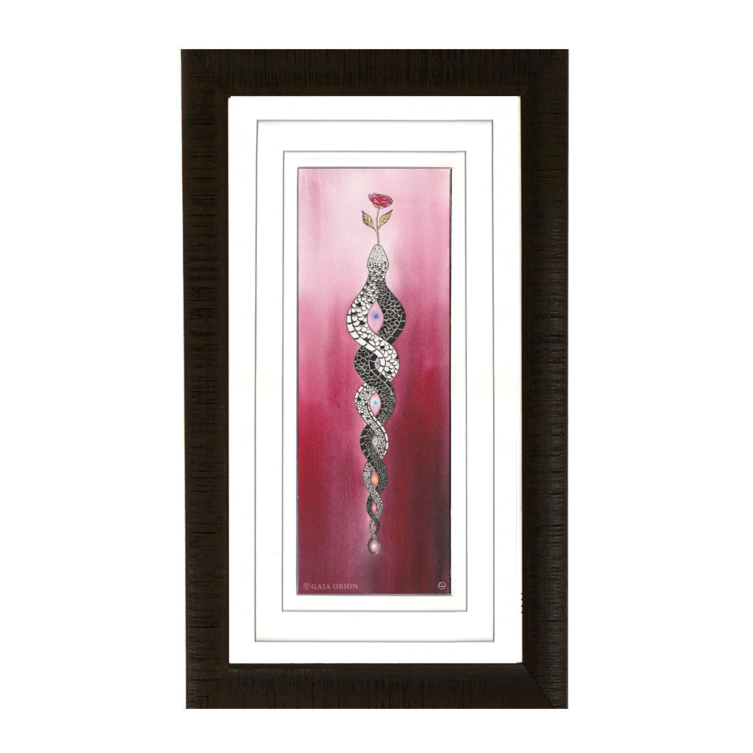 A framed study sketch about tantric love symbolized by a black and white snake joined with a rose symbolizing sacred sexuality