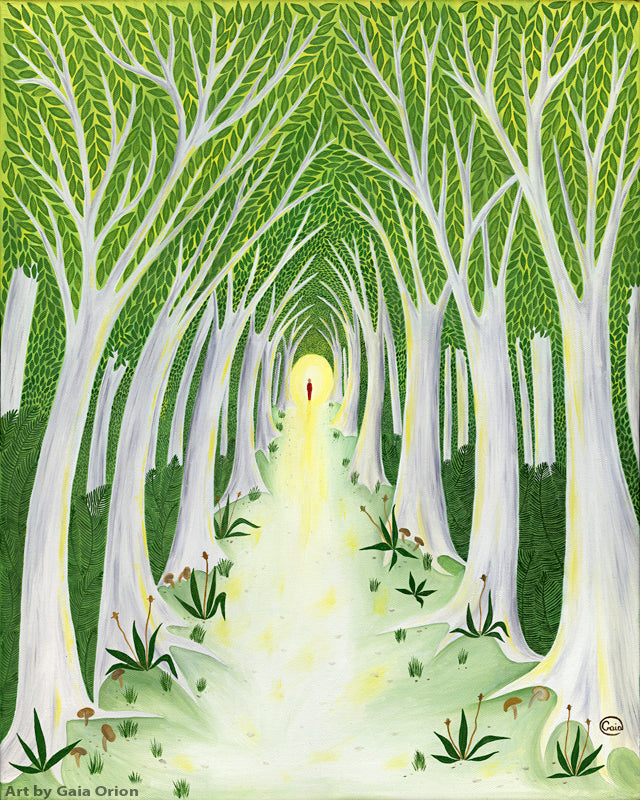 A Meaningful Life Eco Greeting Card featuring a luminous forest path symbolizing life’s meaningful journey.