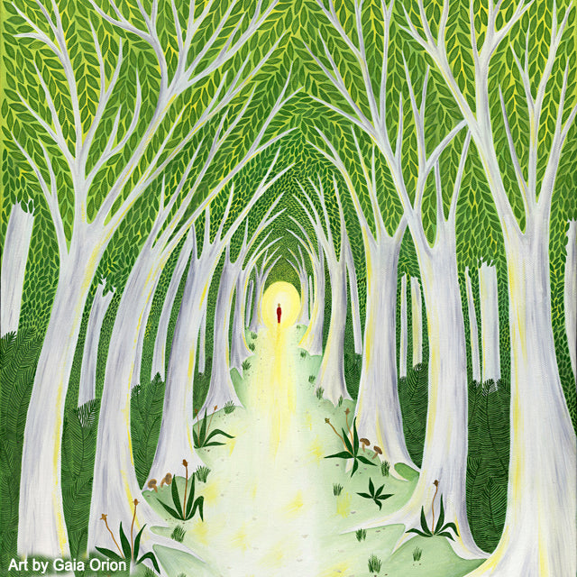 A Meaningful Life Eco Greeting Card featuring a luminous forest path symbolizing life’s meaningful journey.