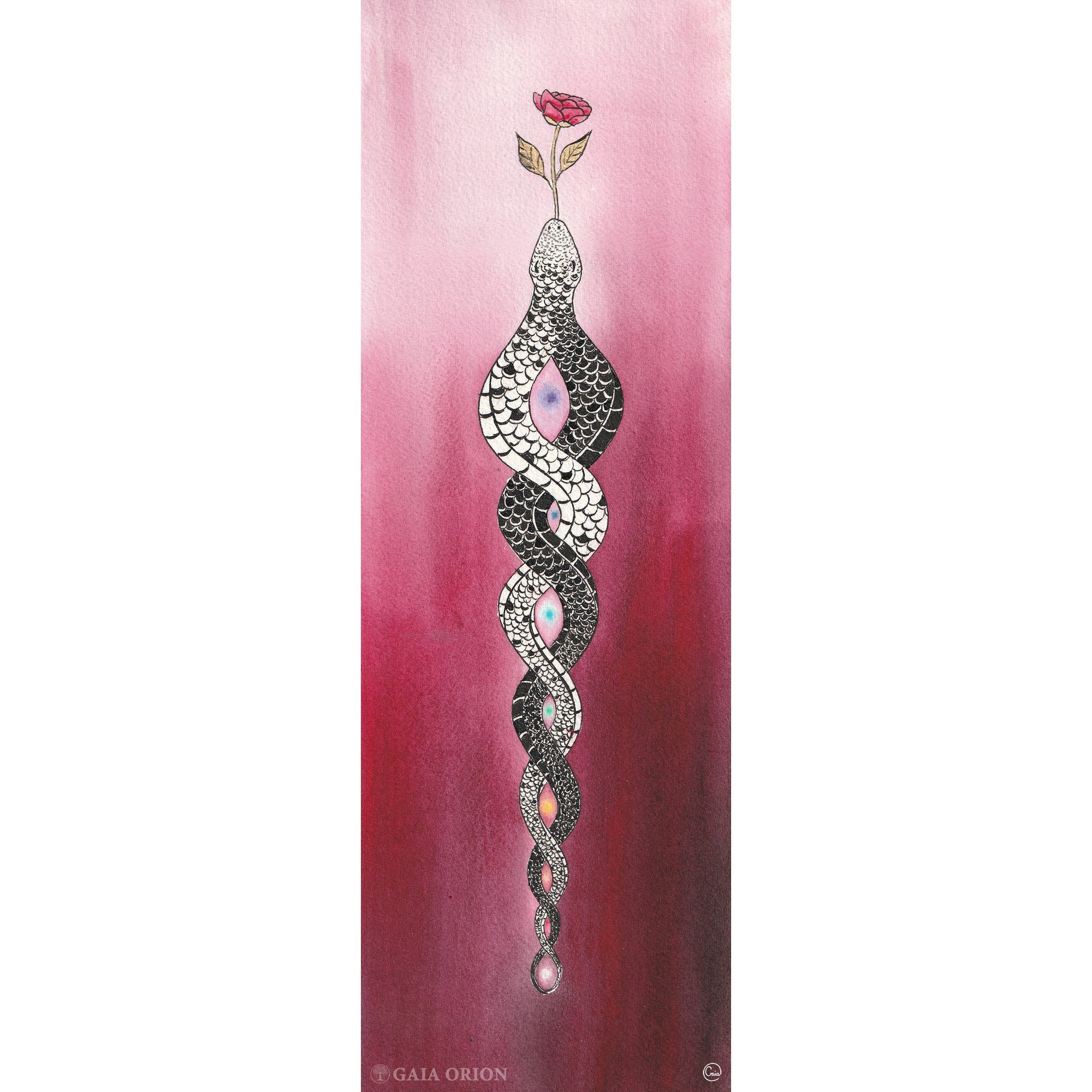 A framed study sketch about tantric love symbolized by a black and white snake joined with a rose symbolizing sacred sexuality